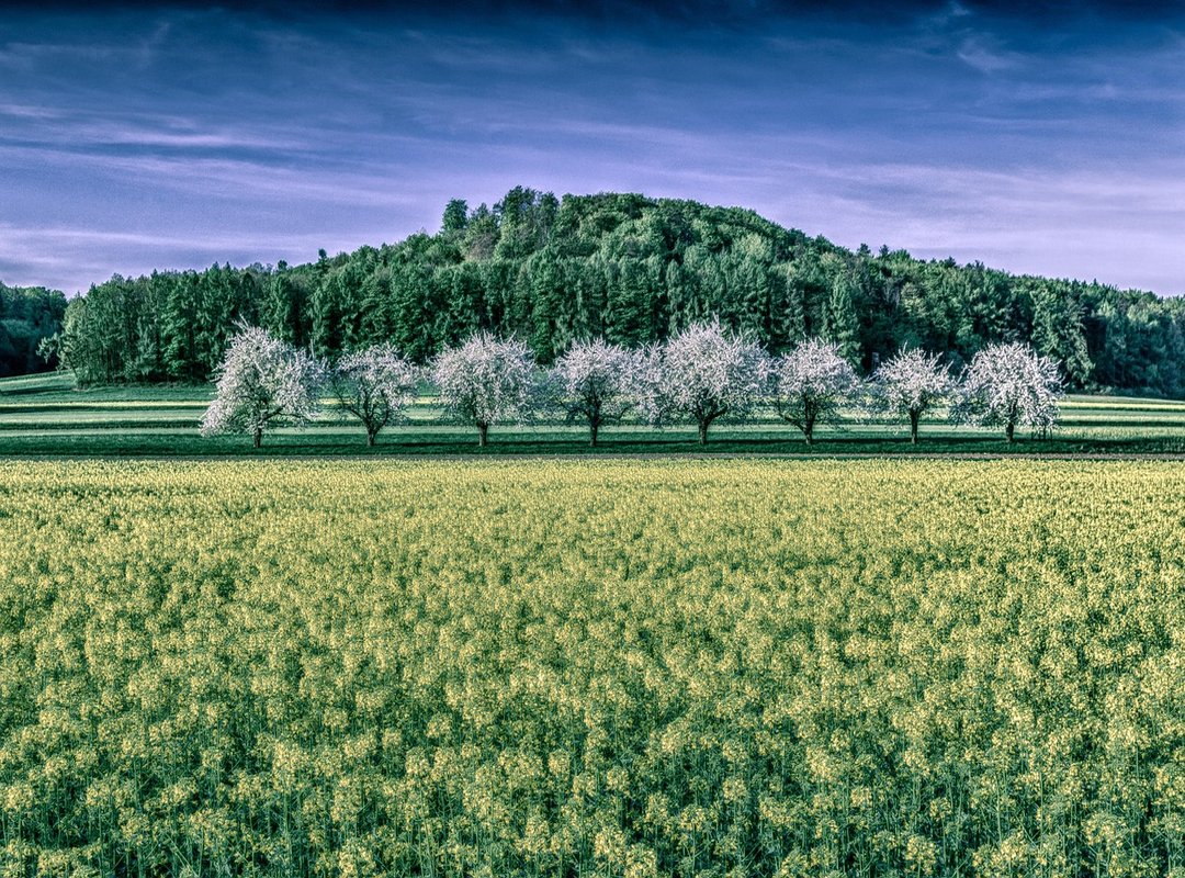 Interior Decoration Miprenovate