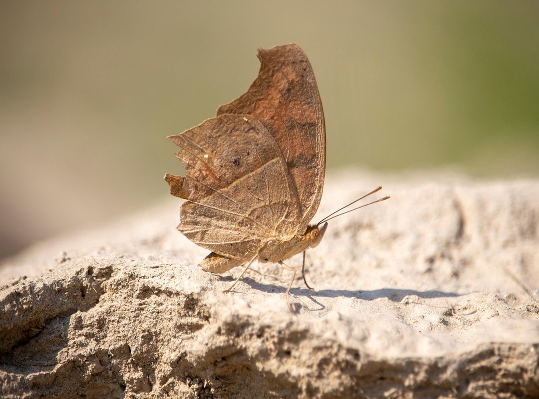 Wutawhacks Home Hacks